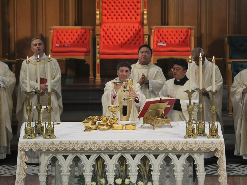 Cardinal-Leo-Cathedral-Toronto-Corpus-Gustavo-Kralj-GaudiumPress0007