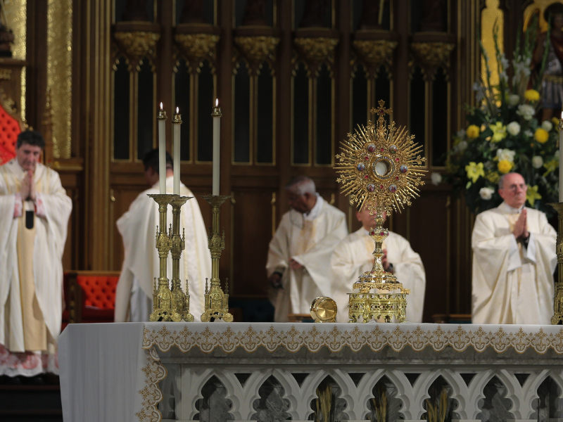 Cardinal-Leo-Cathedral-Toronto-Corpus-Gustavo-Kralj-GaudiumPress0009