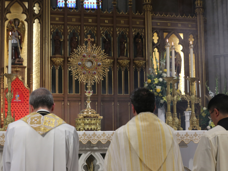 Cardinal-Leo-Cathedral-Toronto-Corpus-Gustavo-Kralj-GaudiumPress0039