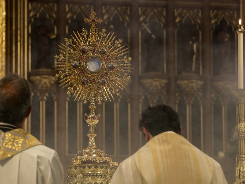 Cardinal-Leo-Cathedral-Toronto-Corpus-Gustavo-Kralj-GaudiumPress0042