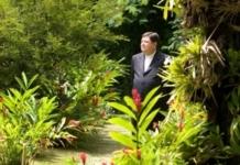 Dear Cardinal Braz de Aviz: the Grass is Green Brazilian Cardinal João Braz de Aviz
