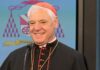 Cardinal Müller Defends Pope Leo XIV Against Trump’s Criticism, Reasserting Papal Authority Beyond Politics cardinal muller