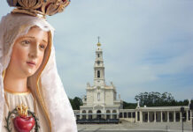 Thousands Gather for Sydney’s Luminous Display of Catholic Faith at Fatima Procession lady with a church building