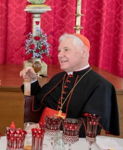 Cardeal Müller: uma parte da Igreja na Alemanha não é apenas cismática, mas apóstata