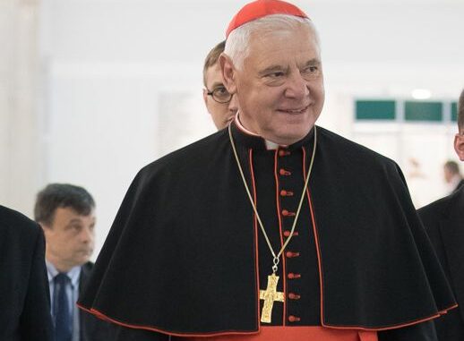 cardinal müller