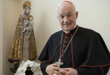 Faith on Trial: The Ouellet Case and Canada’s Deepening Moral Divide Cardinal Marc Ouellet