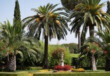 The Fruits of Generosity