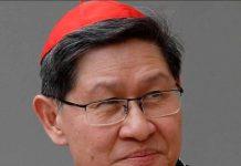Cardinal Tagle Calls on Hong Kong Catholics to Bring Hope as Diocese Marks 80th Anniversary