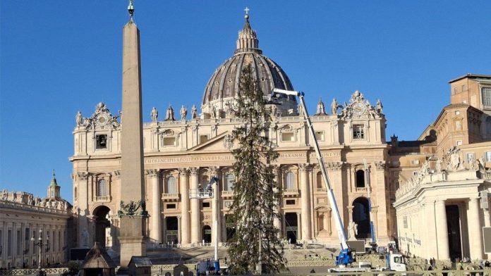 Vaticano divulga detalhes sobre Árvore de Natal e Presépio da Praça de São Pedro Christmas in Rome