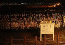 Faith in the Shadows: Inside North Korea’s Perilous Underground Church Imjingak is where the "Freedom Bridge" lies. near The DMZ (Photo by Elizabeth Cho on Unsplash)