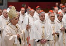 Pope Leo XIV Calls for Renewed Defense of Life and Family