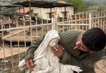 Israeli Military Investigates Soldier Over Religious Statue Incident in Southern Lebanon The Israeli military said the photograph was taken several weeks ago in Lebanon (Credit Social Media)