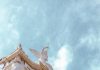Costa Rica’s New President Publicly Entrusts Her Government to the Virgin of the Angels Basilica of Our Lady of Angels Costa Rica (Photo by Fabian Marin Zuñiga on Unsplash)