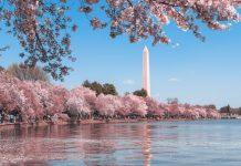 Cardinal McElroy Signals Emerging Pastoral Shift on LGBT Ministry at Washington Conference Washington D.C., DC, USA (Photo by Andy He on Unsplash)