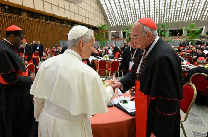 Pope Leo XIV shakes hands with Cardinal Brislin (@Vatican Media)