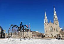 Ugandan Martyrs’ Legacy Continues to Shape Growth of the Catholic Church, Nuncio Says Notre Dame Cathedral Ottawa Canada (Photo by Jessica Nzn on Unsplash)