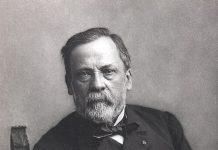 Louis Pasteur: The Scientist Who Revolutionized Medicine While Holding Fast to His Catholic Faith Studio portrait of Louis Pasteur, restored (Louis Pasteur, foto av Paul Nadar, Crisco Public Domain Wikimeida)