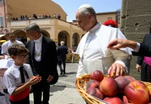 Pope Leo XIV Returned to the Vatican After Summer Retreat at Castle Gandolfo The Pope among the people at Castel Gandolfo (Credit VATICAN MEDIA