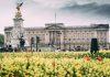 Queen Camilla Meets UISG Representatives, Highlighting Global Mission of Catholic Sisters Supporting Vulnerable Communities Buckingham Palace, London, UK (Photo by Fernando Strabuli on Unsplash)