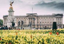 Queen Camilla Meets UISG Representatives, Highlighting Global Mission of Catholic Sisters Supporting Vulnerable Communities Buckingham Palace, London, UK (Photo by Fernando Strabuli on Unsplash)