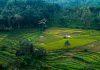 “Bethlehem of Java”: New Pilgrimage Revives Indonesia’s Catholic Heritage Java Indonesia (Photo by Nuril Ahsan on Unsplash)