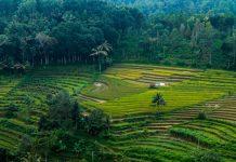 “Bethlehem of Java”: New Pilgrimage Revives Indonesia’s Catholic Heritage Java Indonesia (Photo by Nuril Ahsan on Unsplash)