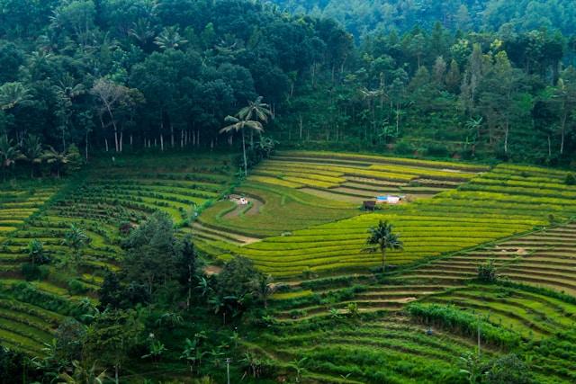 nuril-ahsan-__v3Sh35_Lw-unsplash Java Indonesia (Photo by Nuril Ahsan on Unsplash)